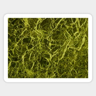 Olive Green Marble Texture Sticker